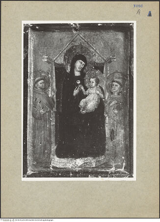 Vorderseite von bh100769_recto