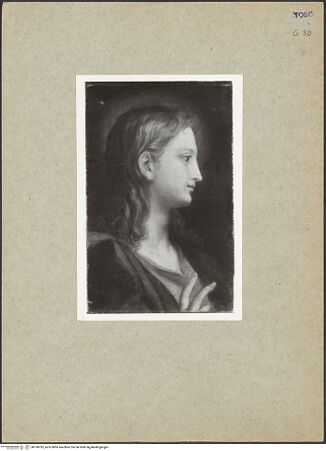 Vorderseite von bh100783_recto