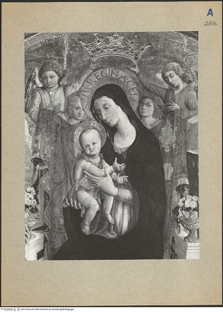 Vorderseite von bh101005_recto