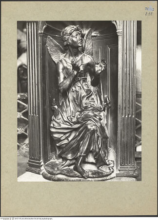 Vorderseite von bh101135_recto