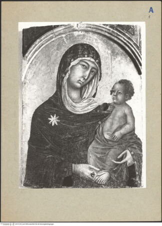 Vorderseite von bh101235_recto