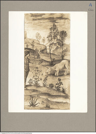 Vorderseite von bh101245_recto