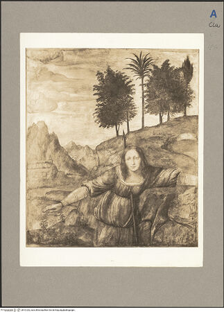 Vorderseite von bh101252_recto