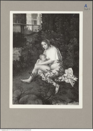 Vorderseite von bh101259_recto