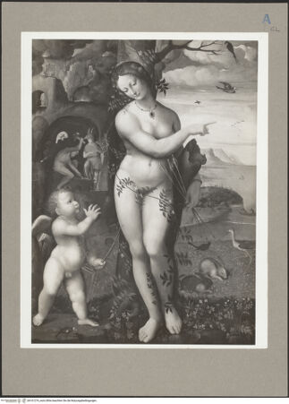 Vorderseite von bh101274_recto