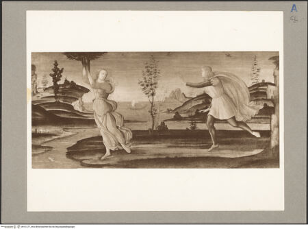 Vorderseite von bh101277_recto