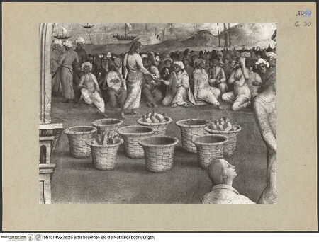 Vorderseite von bh101455_recto