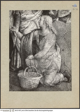 Vorderseite von bh101457_recto