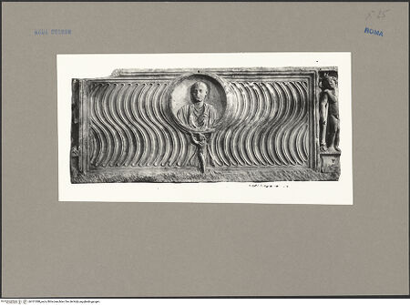 Vorderseite von ICCD [https://www.deutsche-digitale-bibliothek.de/content/lizenzen/rv-ez/] Vorderseite eine Strigelsarkophags mit Imago clipeata - Gesamtansicht, bh101588_recto. Foto.