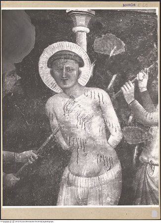 Vorderseite von bh102153_recto