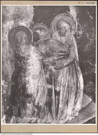 Vorderseite von bh102164_recto