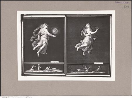 Vorderseite von bh102169_recto