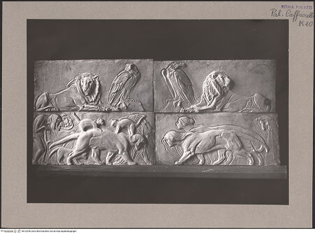 Vorderseite von bh102396_recto