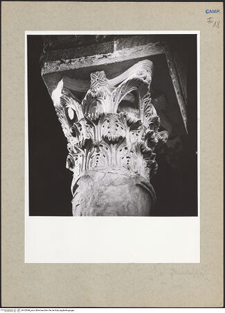 Vorderseite von Hutzel, Max [https://www.deutsche-digitale-bibliothek.de/content/lizenzen/rv-ez/] Kapitelle der Nordarkade und des NordseitenschiffesKapitell 8 - Seitenansicht, bh102498_recto. Foto: Hutzel, Max.