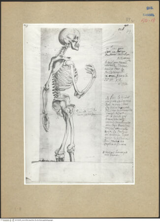 Vorderseite von bh102659_recto