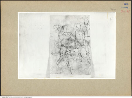 Vorderseite von bh102664_recto