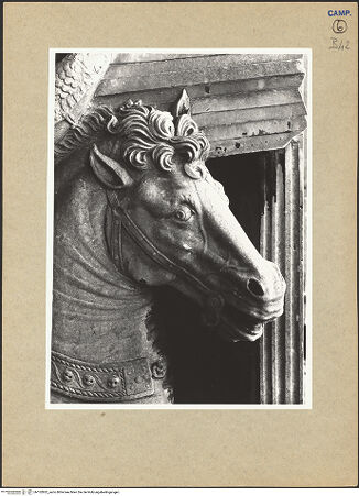 Vorderseite von ICCD [https://www.deutsche-digitale-bibliothek.de/content/lizenzen/rv-ez/] Triumphbogen Alfonsos VTriumphaler Einzug Alfons V. in NeapelBerittener Bläser - Pferd, Detail: Kopf, bh102852_recto. Foto.