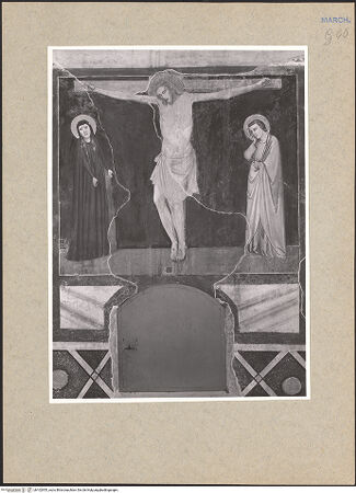 Vorderseite von bh102955_recto