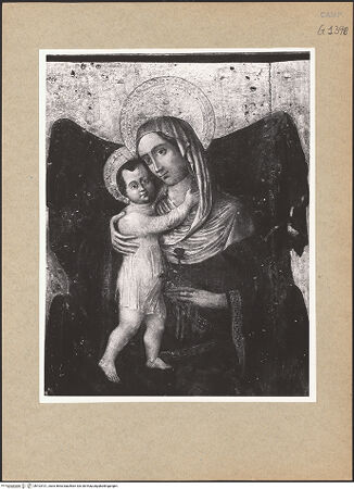 Vorderseite von ICCD [https://www.deutsche-digitale-bibliothek.de/content/lizenzen/rv-ez/] Madonna zwischen den heiligen Thomas von Aquin und Leonardus. Lünette: Gnadenstuhl zwischen den heiligen Sebastian und Nikolas - Detail: Madonna, bh103101_recto. Foto.