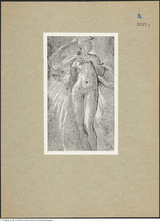 Vorderseite von bh103458_recto