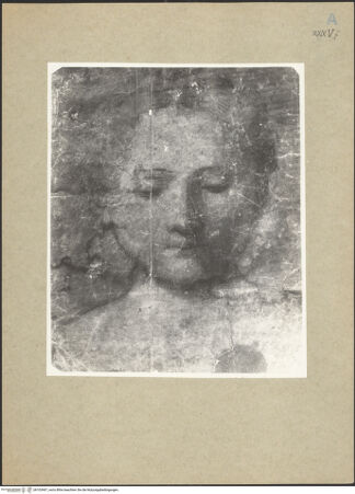 Vorderseite von bh103467_recto