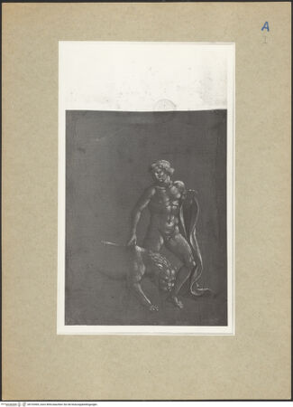 Vorderseite von bh103469_recto