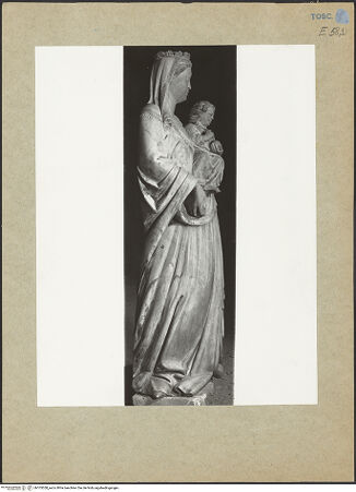 Vorderseite von bh103558_recto