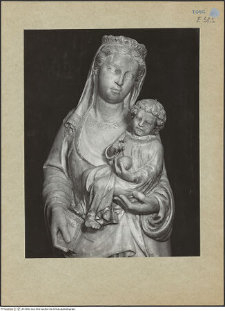 Vorderseite von bh103562_recto