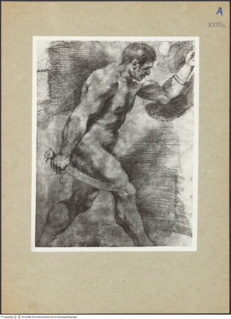 Vorderseite von bh103588_recto