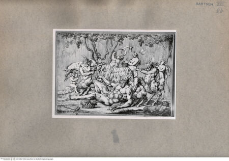 Vorderseite von  [http://creativecommons.org/publicdomain/mark/1.0/] Bacchanal - , bh103631. Foto.