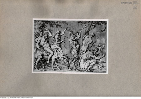 Vorderseite von  [http://creativecommons.org/publicdomain/mark/1.0/] Silenus - , bh103633. Foto.