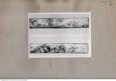 Vorderseite von  [http://creativecommons.org/publicdomain/mark/1.0/] Schafe, Gänse und andere Tiere - , bh103640. Foto.