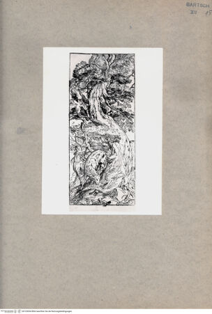 Vorderseite von  [http://creativecommons.org/publicdomain/mark/1.0/] Zwei Ziegen am Fuße eines Baumes - , bh103654. Foto.