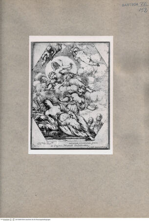 Vorderseite von  [http://creativecommons.org/publicdomain/mark/1.0/] Dido - , bh103689. Foto.