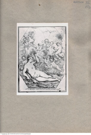 Vorderseite von  [http://creativecommons.org/publicdomain/mark/1.0/] Venus - , bh103690. Foto.