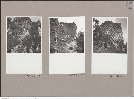 Vorderseite von bh103821_bh103822_bh103823_recto