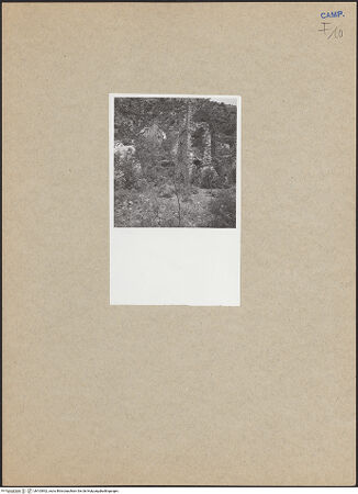 Vorderseite von bh103902_recto