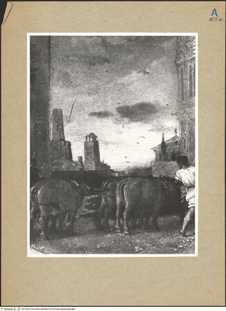 Vorderseite von bh103929_recto