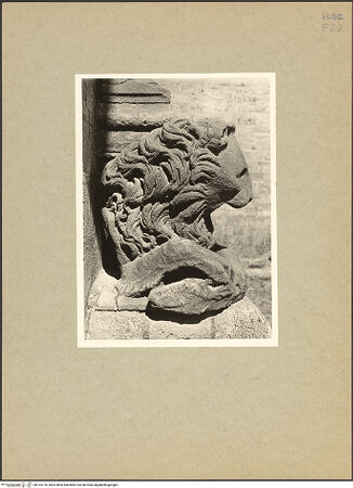 Vorderseite von bh104176_recto