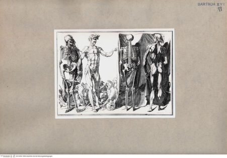 Vorderseite von  [http://creativecommons.org/publicdomain/mark/1.0/] Anatomische Studien der Vorder- und Rückseiten - , bh104567. Foto.