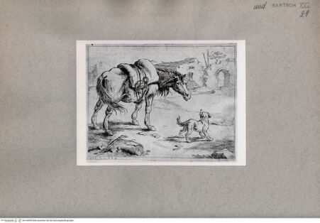 Vorderseite von  [http://creativecommons.org/publicdomain/mark/1.0/] Pferd und Hund vor Ruinen - , bh104599. Foto.