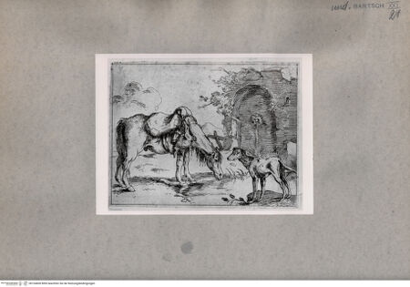 Vorderseite von  [http://creativecommons.org/publicdomain/mark/1.0/] Pferd und Hund vor einem Wasserspeier - , bh104600. Foto.