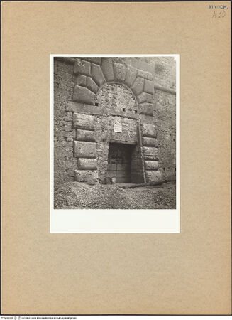 Vorderseite von bh104631_recto