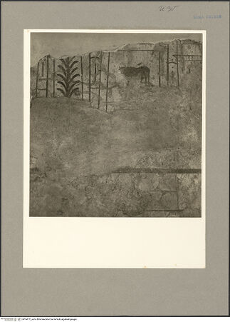 Vorderseite von bh104712_recto