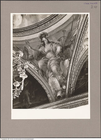 Vorderseite von bh104924_recto