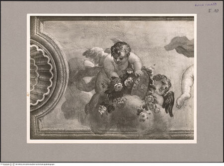 Vorderseite von bh104963_recto