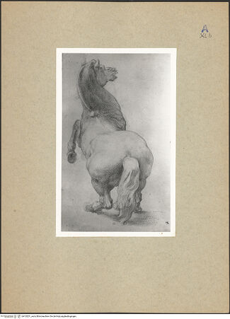 Vorderseite von bh105231_recto