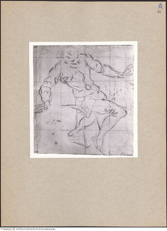 Vorderseite von bh105238_recto