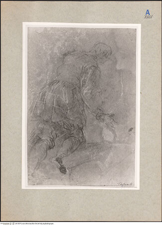 Vorderseite von bh105374_recto