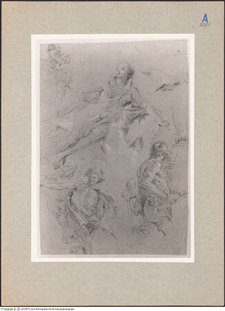 Vorderseite von bh105375_recto